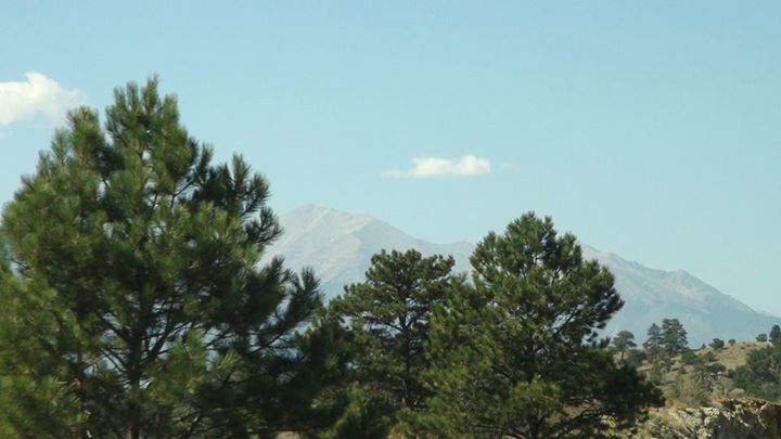 130929_pines_and_distant_mountains