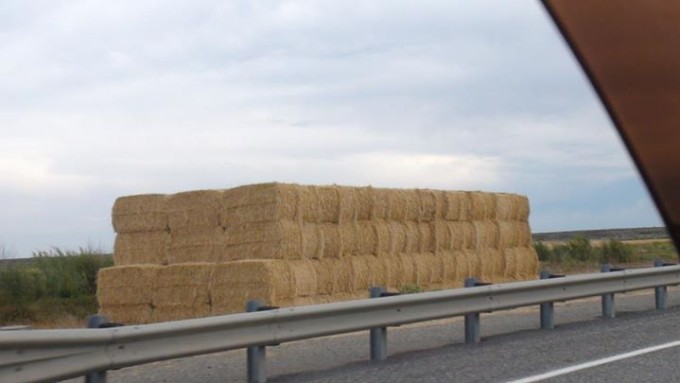 150202_hay_bales